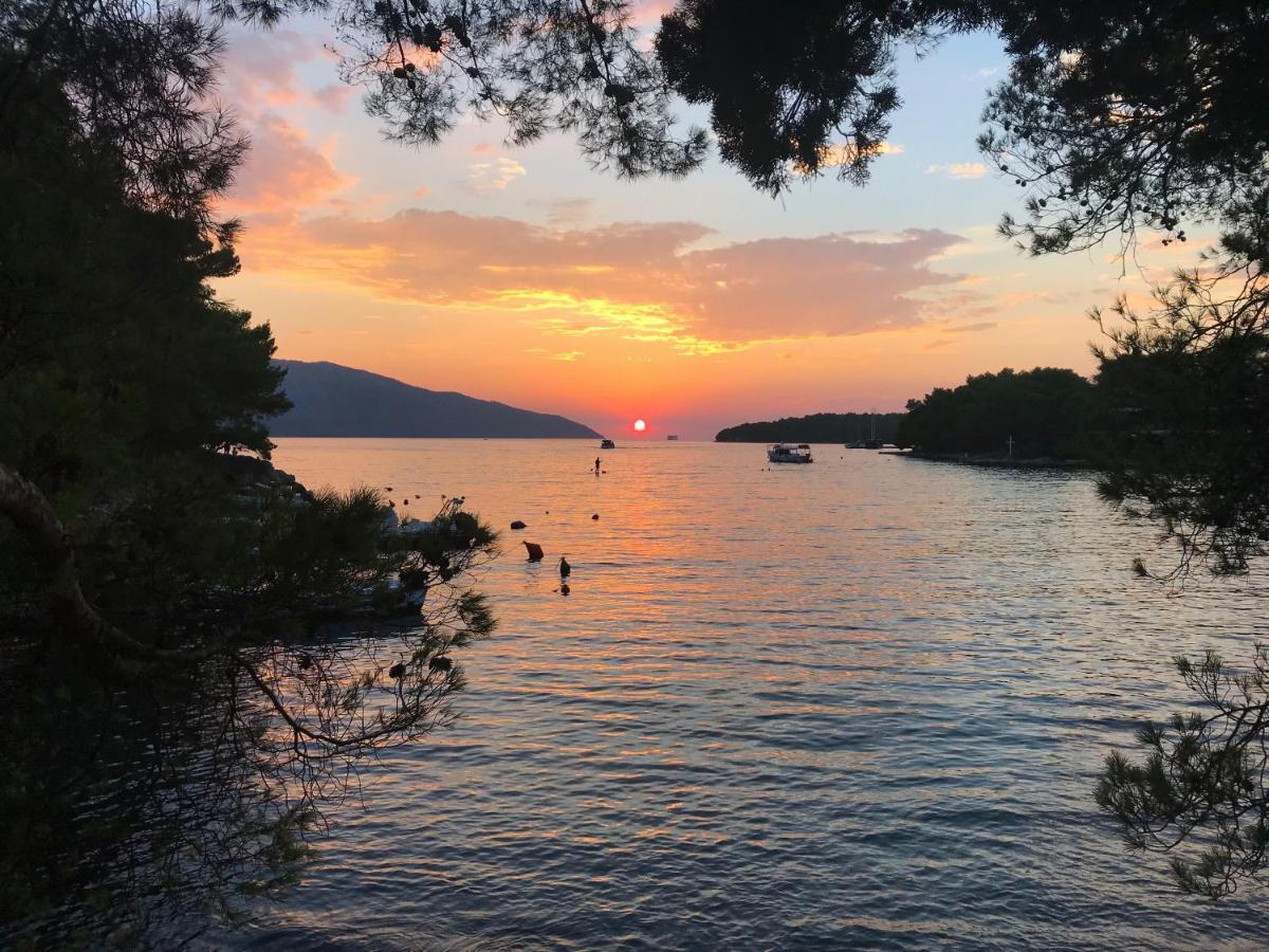 Olive Tree Apartman Stari Grad  Kültér fotó