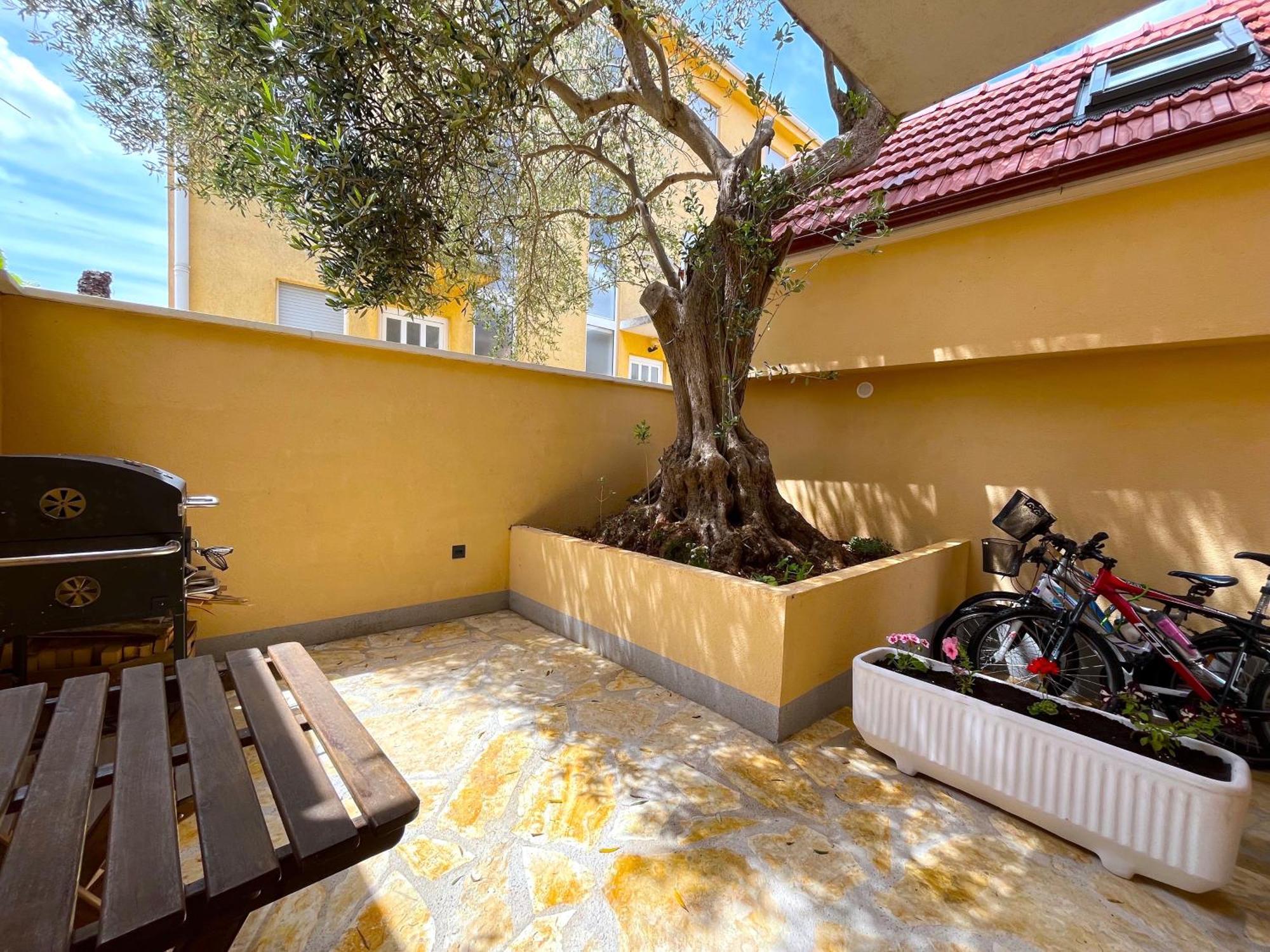 Olive Tree Apartman Stari Grad  Kültér fotó